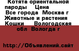 Котята ориентальной пароды  › Цена ­ 12 000 - Все города, Москва г. Животные и растения » Кошки   . Вологодская обл.,Вологда г.